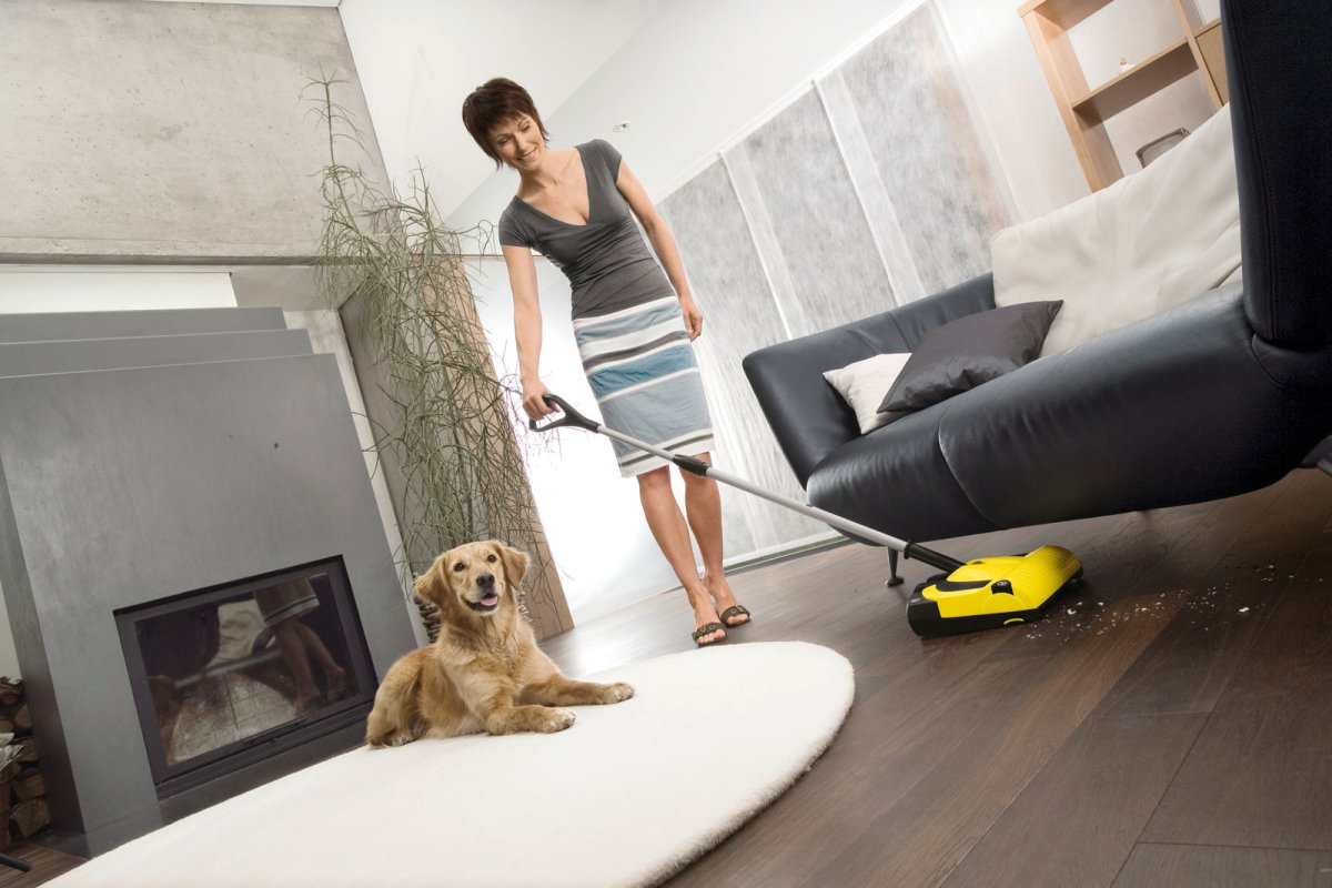 Cepillo para pelo de mascotas para K55 - KÄRCHER SHOPACCESORIOS