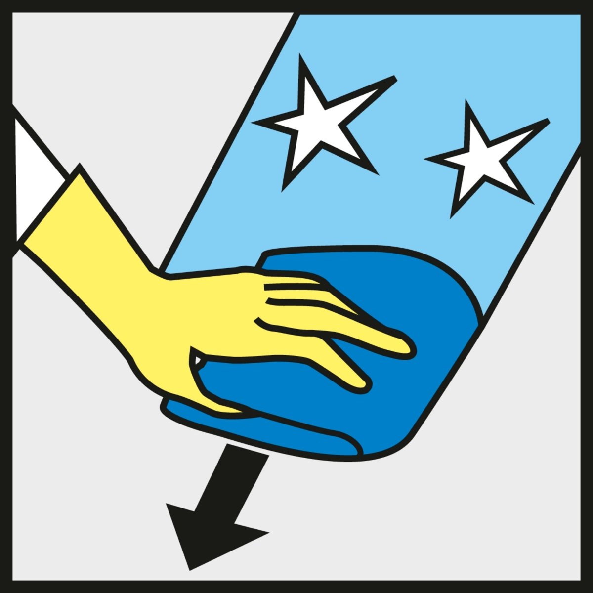 Detergente de la WVP 10 500ml - KÄRCHER SHOP