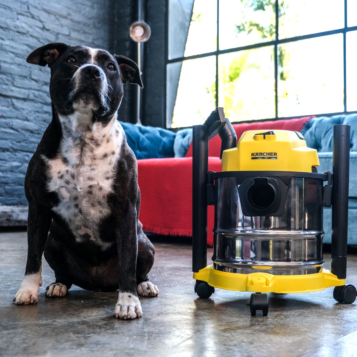 Aspiradora Multifuncional WDL 1s - KARCHER SHOPAspiradoras