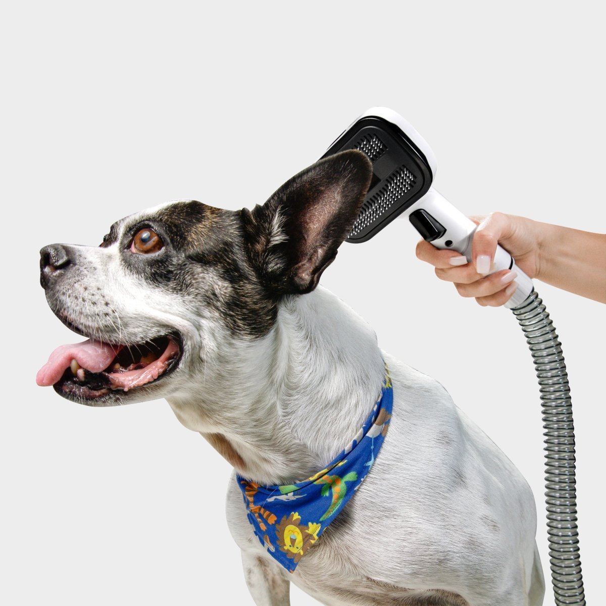 Kit para tus mascotas - KARCHER SHOP