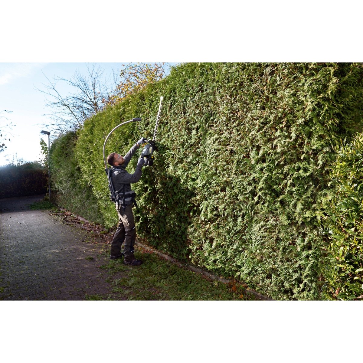 HT 650/36 Bp Cortador de cetos - KÄRCHER SHOP