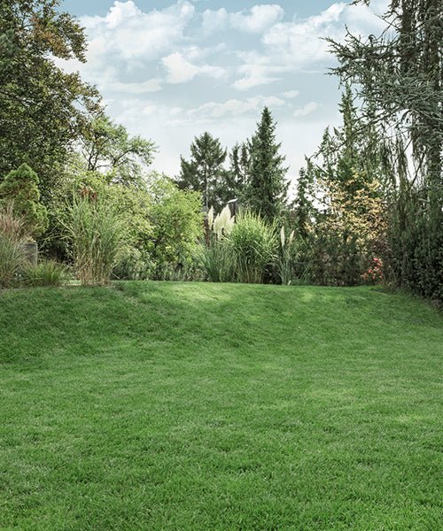 Sensor de lluvia. - KÄRCHER SHOPACCESORIOS